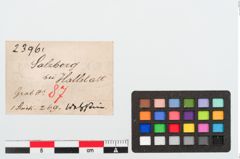 Etiketten zu Schleifstein (NHMW-PRAE-023961)